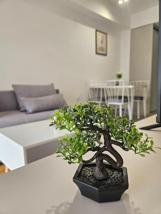 Milo Apartment 斯科普里 外观 照片